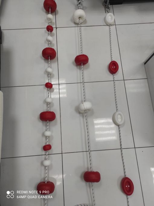 cankurtaran ipi plaj deniz samandırası